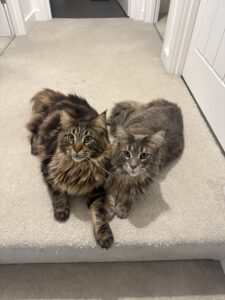 Otis and Albert