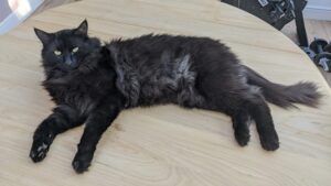 Max
